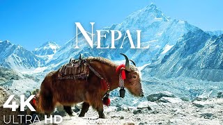 NEPAL4K  Scenic Relaxation Film with Peaceful Relaxing Music and Nature Video Ultra HD [upl. by Araec79]