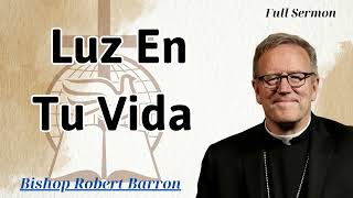 luz en tu vida  Bishop Robert Barron [upl. by Irol]