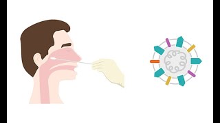 Describing antigen testing for COVID 19 [upl. by Aiciruam]