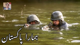 Har Ek Pakistani Ne Pukara Pakistan Army Song  Pakistan Nevy Day pakistannevysong [upl. by Nairde]