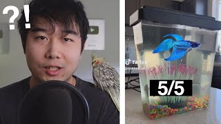 she learned real quick  Fish Tank Review 241 [upl. by Rbma]