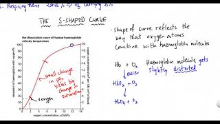 Haemoglobin dissociation curve [upl. by William]