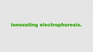 BioRads Precast Gels for Protein Electrophoresis A History of Innovation [upl. by Osborne46]