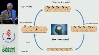 Muscle Memory and a New Cellular Model for Muscle Atrophy and Hypertrophy [upl. by Vaas]