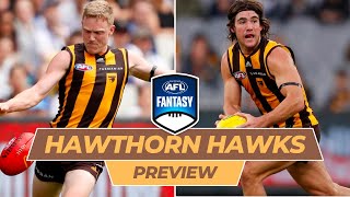 Hawthorn Hawks Fantasy Preview [upl. by Benedicto]