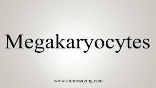 How To Say Megakaryocytes [upl. by Mathis]