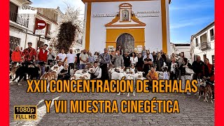 XXII CONCENTRACIÓN DE REHALAS Y VII MUESTRA CINEGÉTICA 2024 PASEO DE REHALAS Y MUESTRA CINEGÉTICA [upl. by Ynamreg]