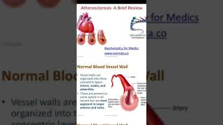 Atherosclerosis  A brief review normal blood vessel wall video 📸📷 [upl. by Dinsmore]