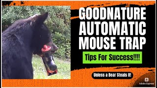 Tips for Success with Goodnature A24 Automatic Mouse Trap [upl. by Ysdnyl]