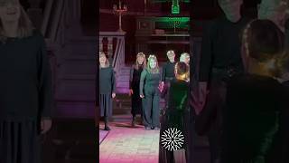 Tinka  Julekalender cover  Temasang TV2  Vocal Frostbite choir acappellamusic popcover [upl. by Meehahs755]