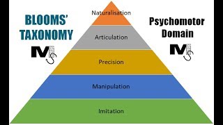 Blooms Taxonomy Psychomotor Domain  Simplest Explanation Ever [upl. by Ahseyt]