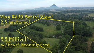 Sa mga gusto ng tahimik at preskong lugar ito ang pong property na ito baka para po sayomay mangga [upl. by Yeca489]