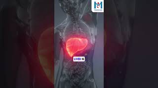 What are Liver Function Tests LFTs [upl. by Cthrine1]