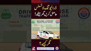 Get Your Driving License at Home Fast amp Easy [upl. by Stinky]