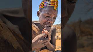 Wow Thats incredible delicious food Hadza makes for Lunch middle of nowhere ‼️😋hadzabetribe food [upl. by Ayouqat]