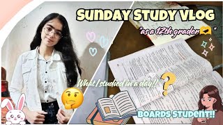 SUNDAY STUDY VLOG🔥12TH GRADER STUDY VLOG ✨📚📝 [upl. by Aysahc]