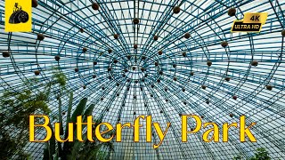 Butterfly Park  Flying Jewels  Bannerghatta  vlog13  4K [upl. by Beaulieu]