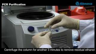 PCR Purification [upl. by Harley]