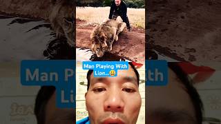 Man Playing With Lion😀 lion animals wildlife funny shortvideo [upl. by Harland255]