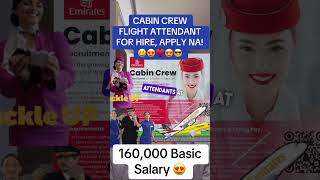 Cabin Crew for Hire OFW [upl. by Tammie]