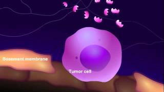 Introduction to Cancer Biology Part 3 Tissue Invasion and Metastasis [upl. by Addie788]