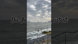 texel island travel trip travelblogger inseln shorts tripshorts dmitrygladkov sea nature [upl. by Ayimat860]