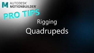 MotionBuilder ProTips  Rigging  Quadrupeds [upl. by Nosnorb]