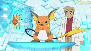 Raichu attacks Professor Oak  Professor Oak Funny Moments XY [upl. by Ailsa]