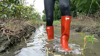 Hunter Boots Brick Red6 [upl. by Dlareg116]