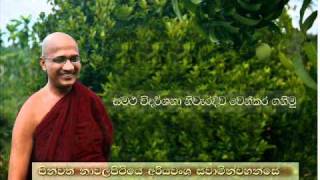 Nawalapitiye Ariyawansa Thero  Samatha vidarshana niwaridiwa wen kara ganimu [upl. by Ayotna]