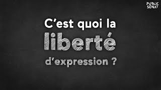 Cest quoi la liberté dexpression [upl. by Shaeffer]