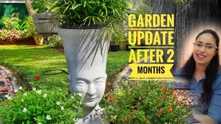 A New Garden Update After 2 Months  How To Make A Beautiful Garden  Beautiful Gardens In 2021 [upl. by Karoline358]