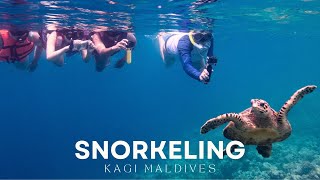 Snorkeling Adventures at Kagi Maldives [upl. by Kosak]