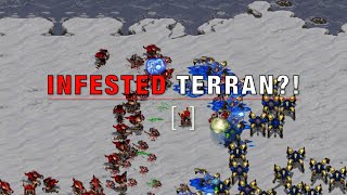 Can Infested Terran Hydra beat Zealot Dragoon [upl. by Howarth41]