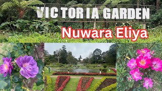 Victoria Park Nuwaraeliya  Nuwara eliya  Nuwara eliya travel places  The Queen Victoria Park [upl. by Lodi]