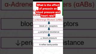 What is the effect of prazosin on blood pressure and heart rate [upl. by Goulette]