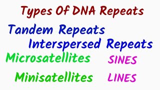 DNA Repeats  Tandem and Interspersed Repeats [upl. by Nednarb]