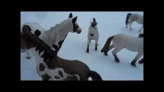 Three Herds A Schleich Horse Movie Part 1 [upl. by Ahsaeyt]