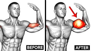 Full Biceps Workout  Short Head  Long Head  Maniac Muscle [upl. by Allin360]