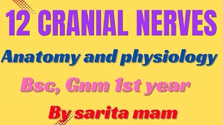 12 CRANIAL NERVES  ANATOMY AND PHYSIOLOGY  BSC  GNM 1ST YEAR [upl. by Romeu687]