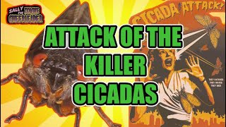 Attack of the Killer Cicadas 17 year cicada locust Swarms Brood X [upl. by Nahtan487]