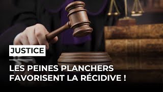 Les peines plancher ne fonctionnent pas   Débat à lAssemblée [upl. by Ridgley]