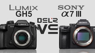 Panasonic Lumix GH5 vs Sony alpha a7 III [upl. by Giffer]