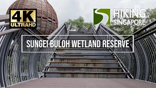 Sungei Buloh Wetland Reserve  Hiking Singapore 4K HDR [upl. by Eirod]