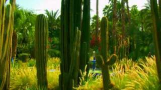 Le Jardin Majorelle à Marrakech [upl. by Feucht472]