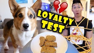 The CORGI Loyal Dog Test 💔  Life After College Ep 613 [upl. by Silas]