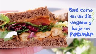 Qué como en un día Vegano bajo en FODMAPs Y Fructosa 2 [upl. by Adel]