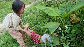 landslide tree fell near the house sister picked fruit to sell bodonthan123 [upl. by Jaquenetta]