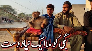 Bagi Ko Mila Aik naya Dost  Ammi Ke Kapre Silayi Ho Kr A Gye  Bagi Family Vlogging [upl. by Aiello424]