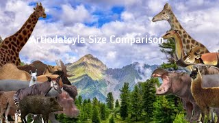 Artiodatcyla Size ComparisonCamelidsGiraffidaeCervidaeSuidaeBovidaeHippopotamidae [upl. by Frentz]